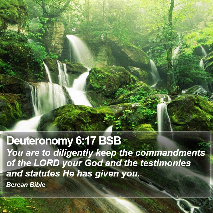 Deuteronomy 6:17 BSB Bible Study