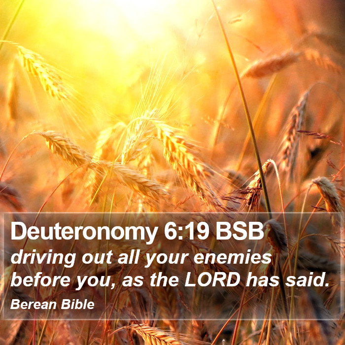 Deuteronomy 6:19 BSB Bible Study