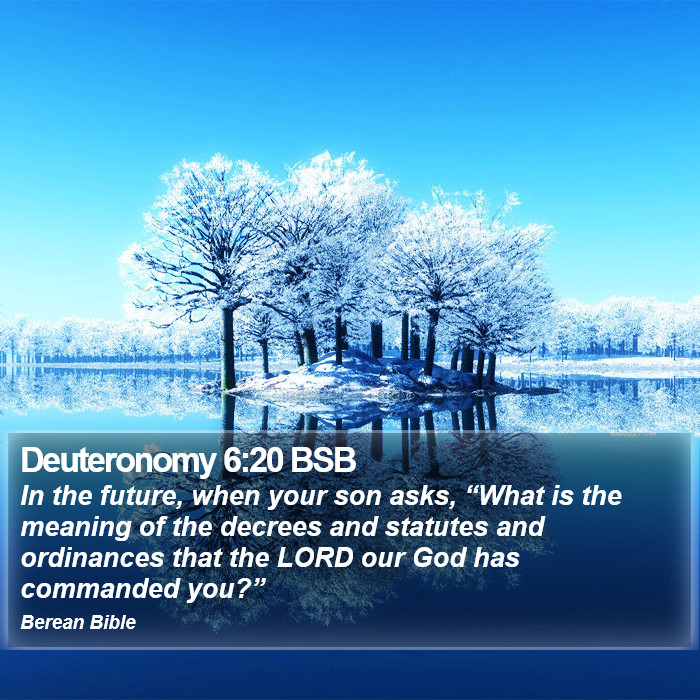 Deuteronomy 6:20 BSB Bible Study