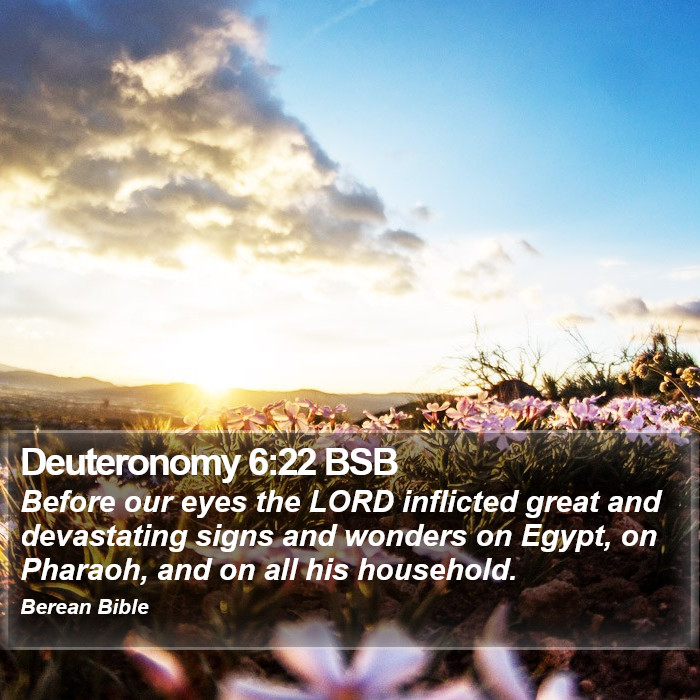 Deuteronomy 6:22 BSB Bible Study