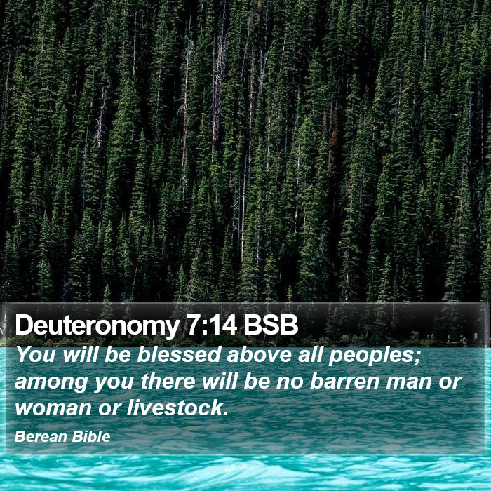 Deuteronomy 7:14 BSB Bible Study