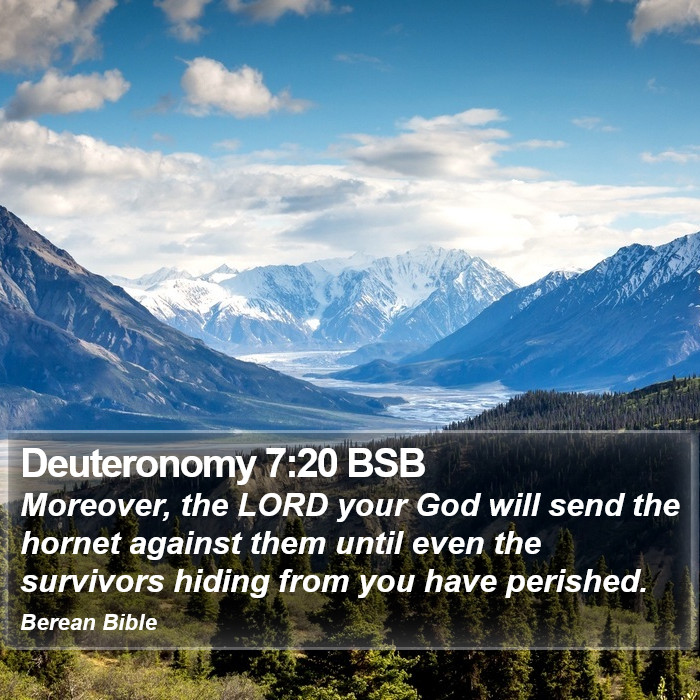 Deuteronomy 7:20 BSB Bible Study