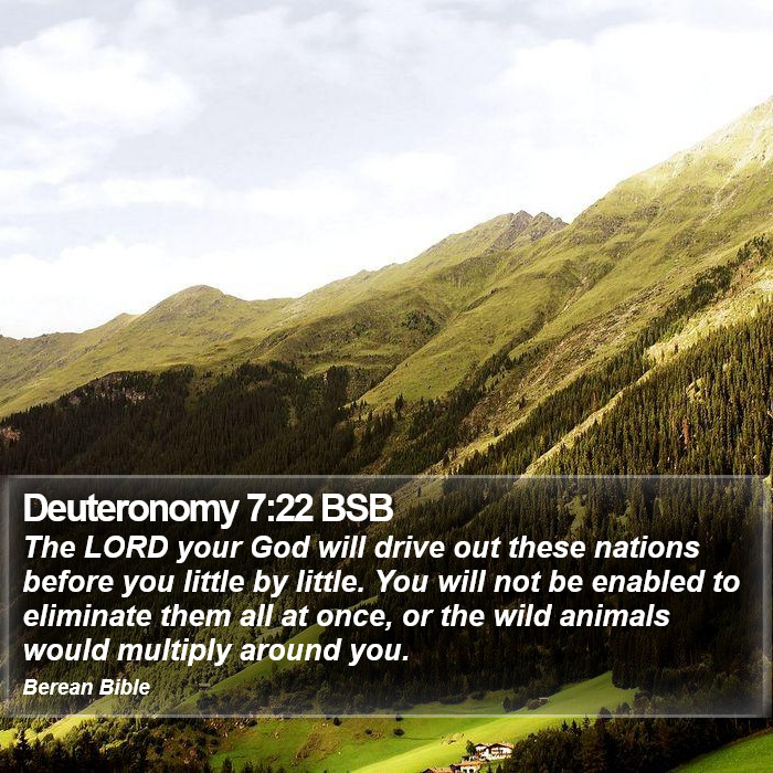 Deuteronomy 7:22 BSB Bible Study