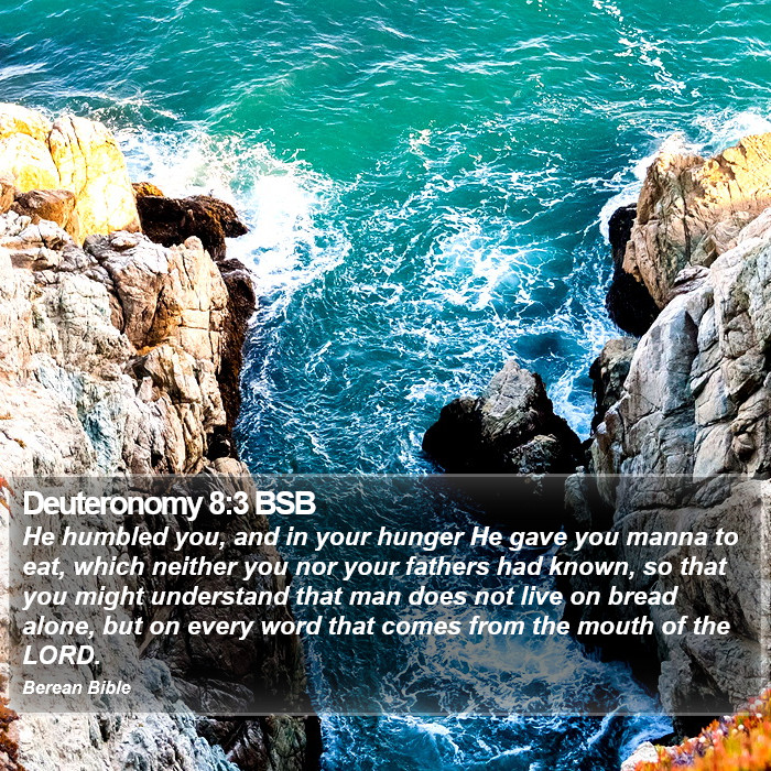 Deuteronomy 8:3 BSB Bible Study