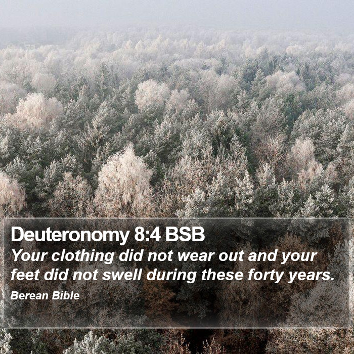 Deuteronomy 8:4 BSB Bible Study