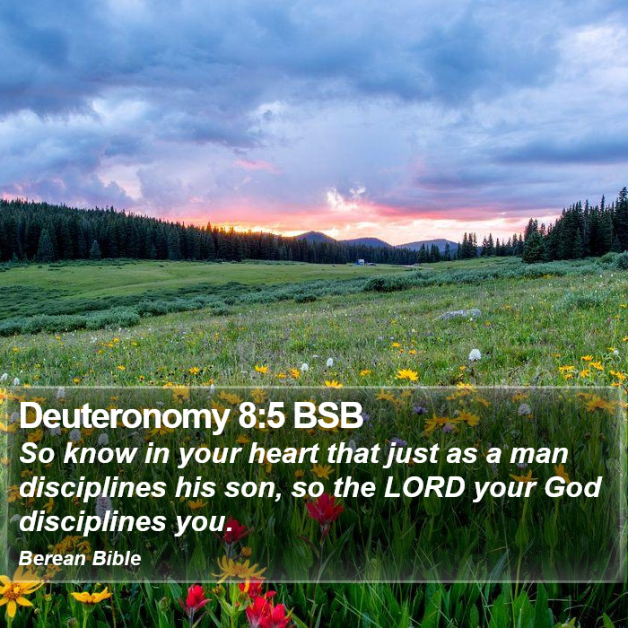 Deuteronomy 8:5 BSB Bible Study