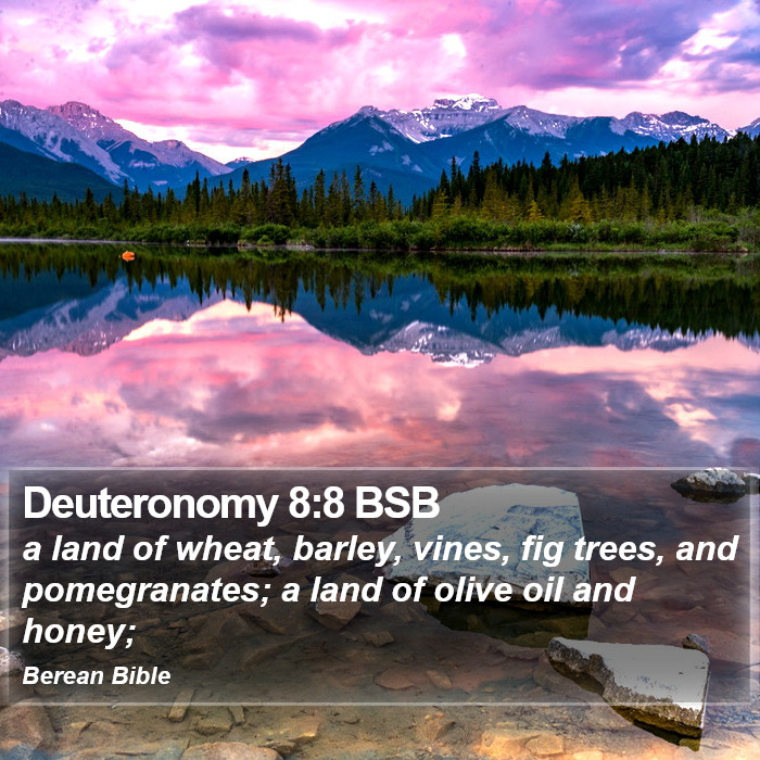 Deuteronomy 8:8 BSB Bible Study