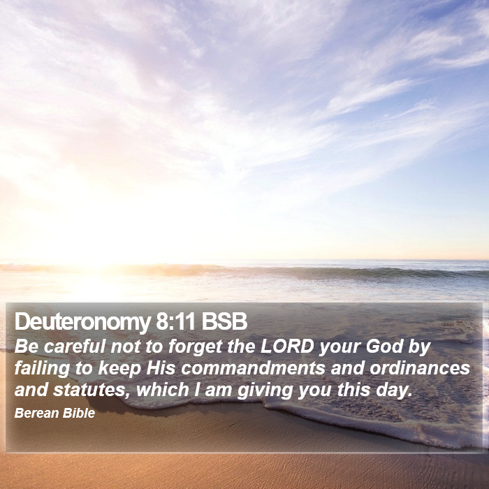 Deuteronomy 8:11 BSB Bible Study