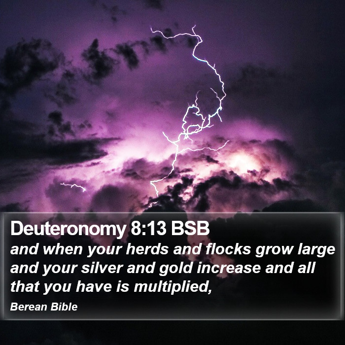 Deuteronomy 8:13 BSB Bible Study