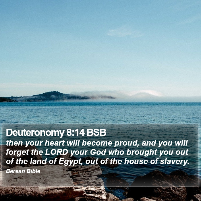 Deuteronomy 8:14 BSB Bible Study