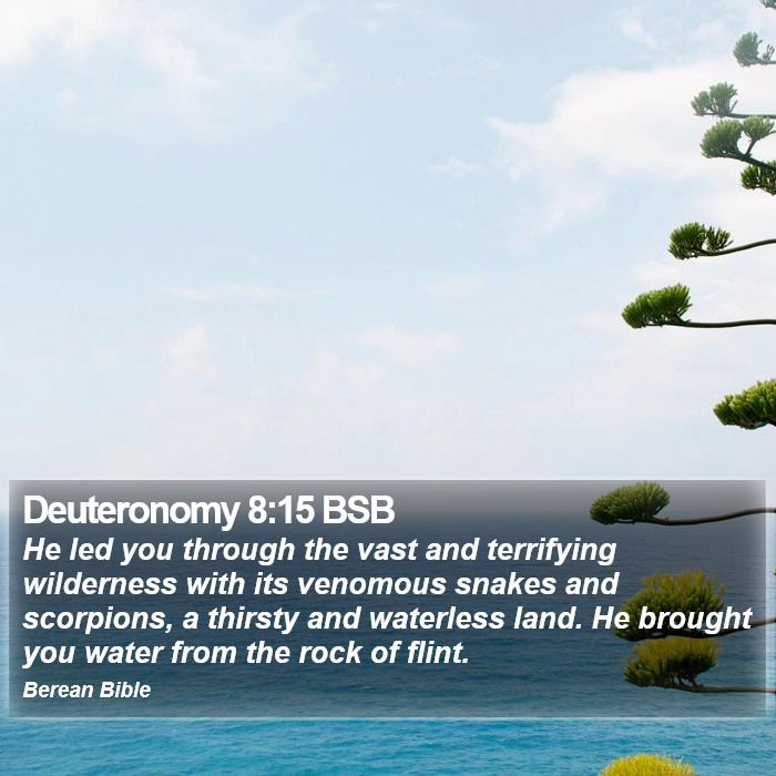 Deuteronomy 8:15 BSB Bible Study