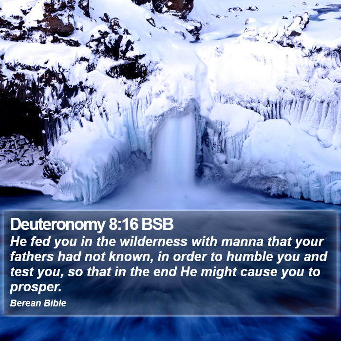 Deuteronomy 8:16 BSB Bible Study