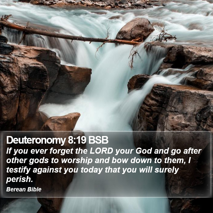 Deuteronomy 8:19 BSB Bible Study