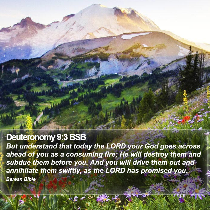 Deuteronomy 9:3 BSB Bible Study