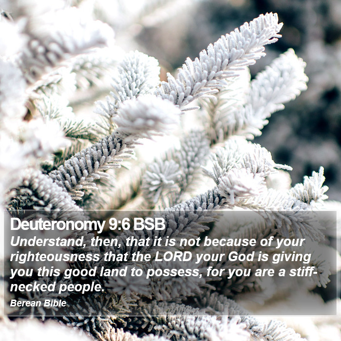 Deuteronomy 9:6 BSB Bible Study