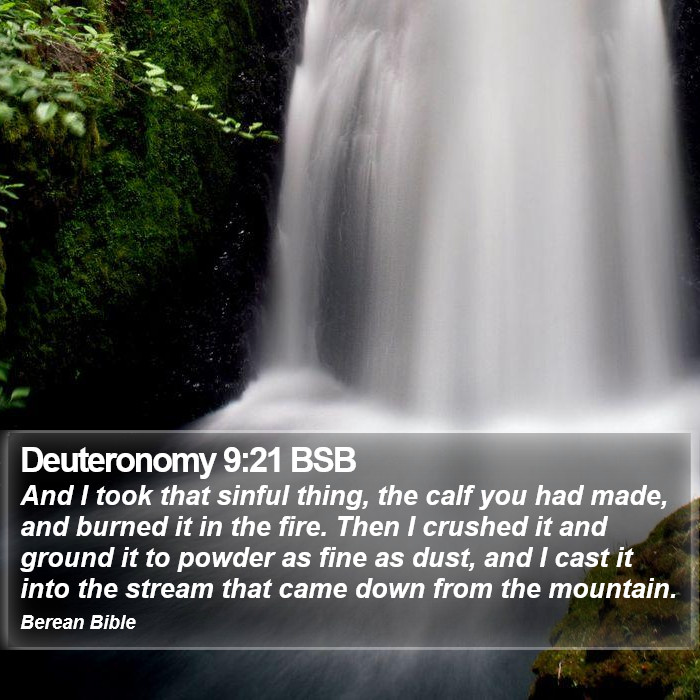 Deuteronomy 9:21 BSB Bible Study