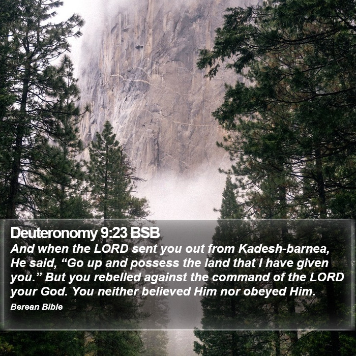 Deuteronomy 9:23 BSB Bible Study