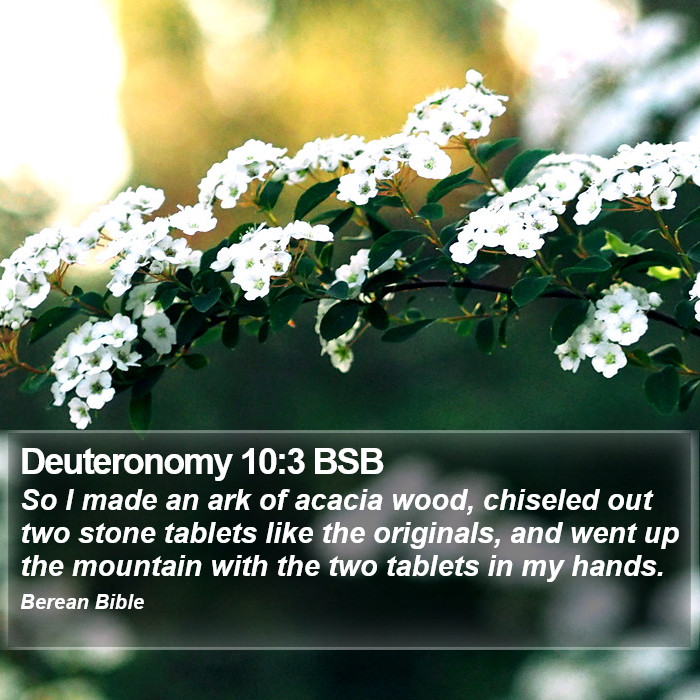 Deuteronomy 10:3 BSB Bible Study