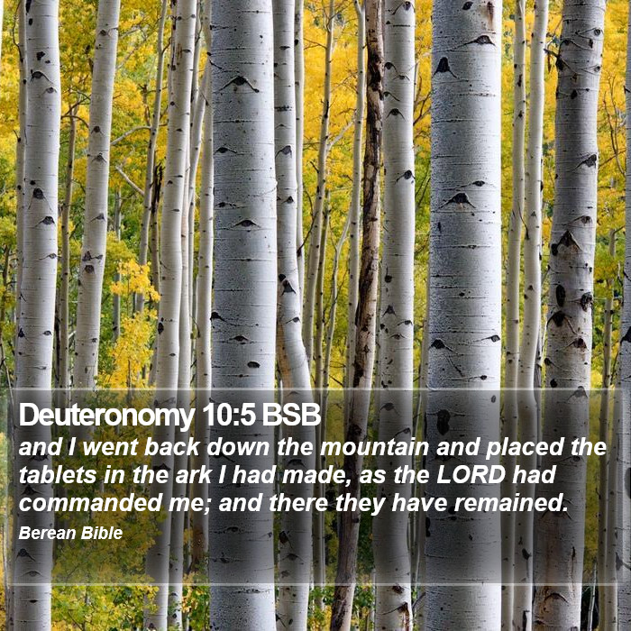 Deuteronomy 10:5 BSB Bible Study