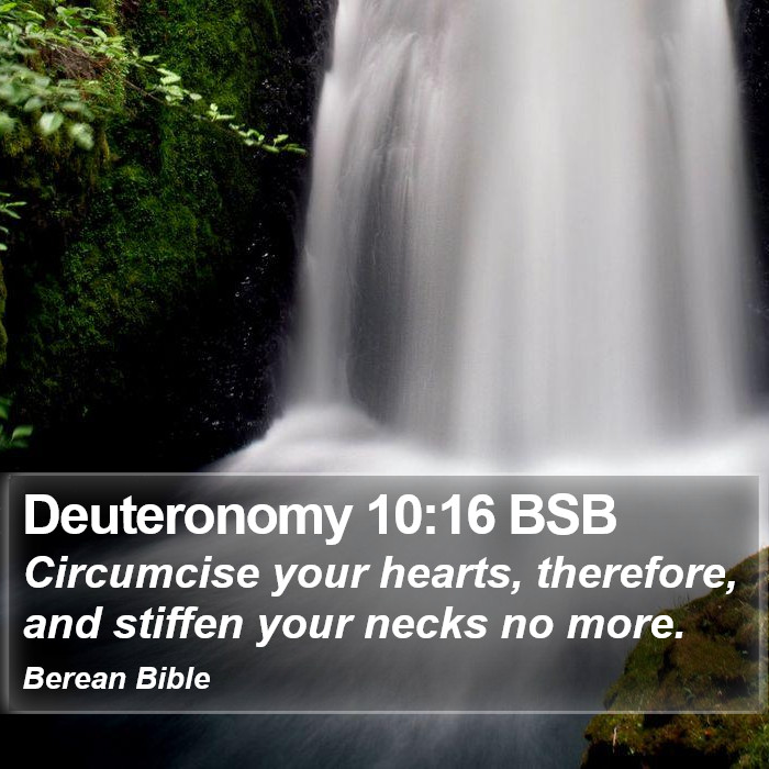 Deuteronomy 10:16 BSB Bible Study