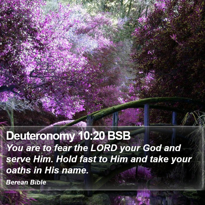 Deuteronomy 10:20 BSB Bible Study