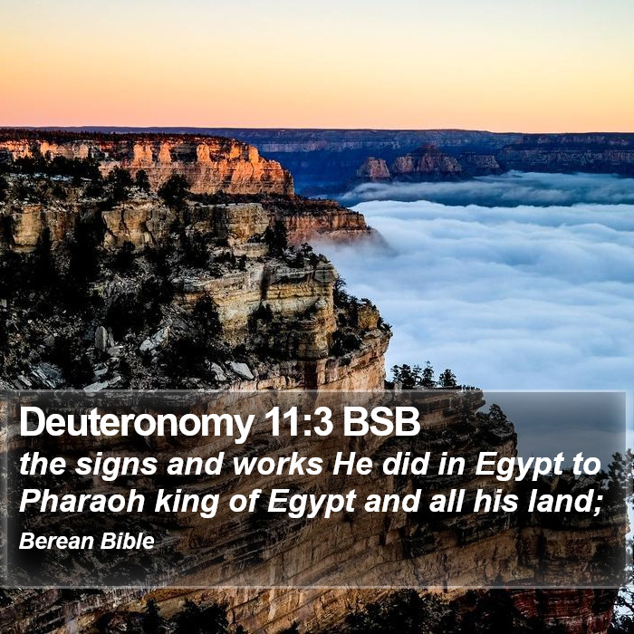 Deuteronomy 11:3 BSB Bible Study