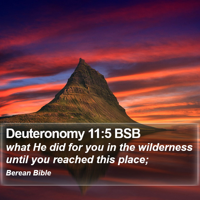 Deuteronomy 11:5 BSB Bible Study