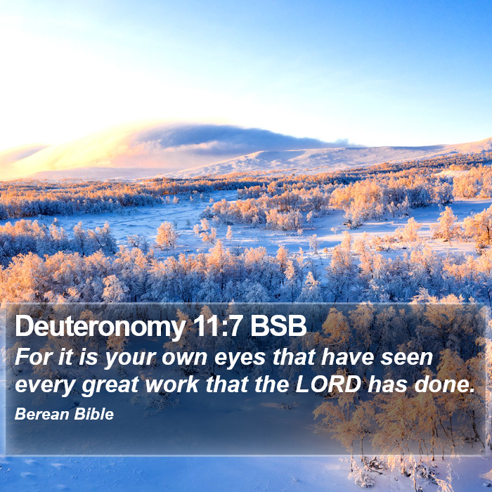 Deuteronomy 11:7 BSB Bible Study