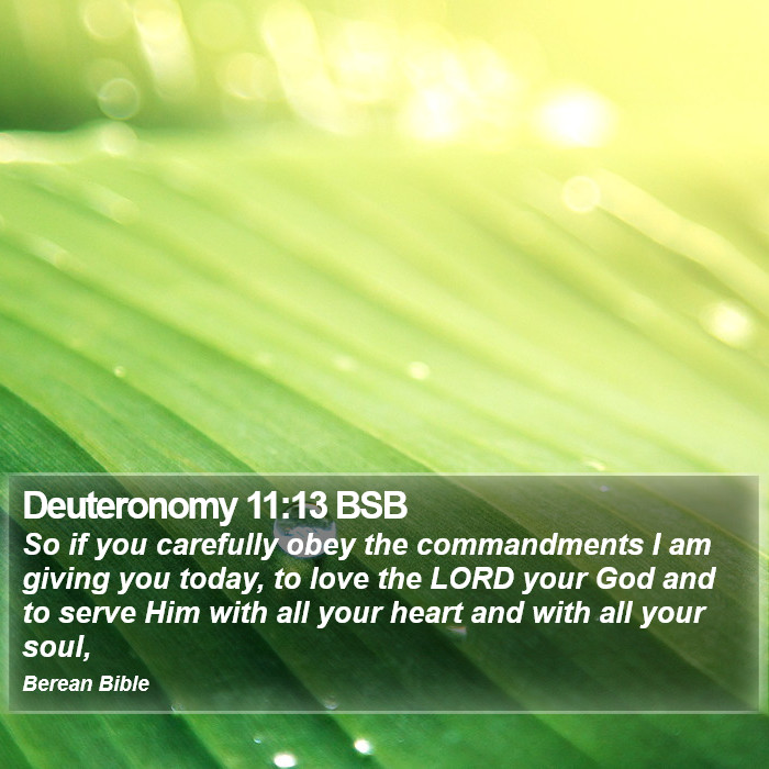 Deuteronomy 11:13 BSB Bible Study