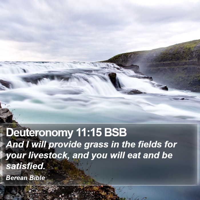 Deuteronomy 11:15 BSB Bible Study