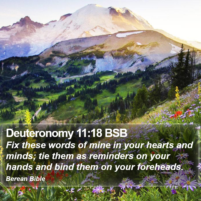 Deuteronomy 11:18 BSB Bible Study