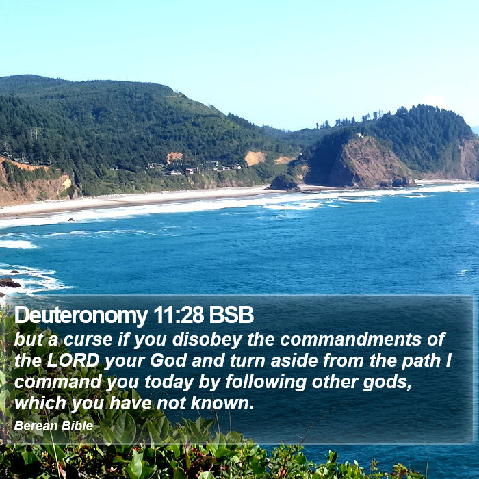 Deuteronomy 11:28 BSB Bible Study