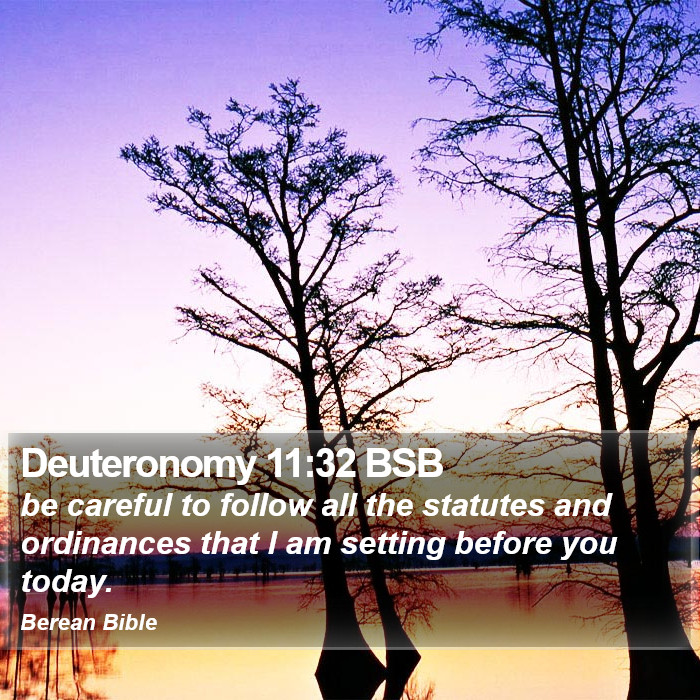 Deuteronomy 11:32 BSB Bible Study