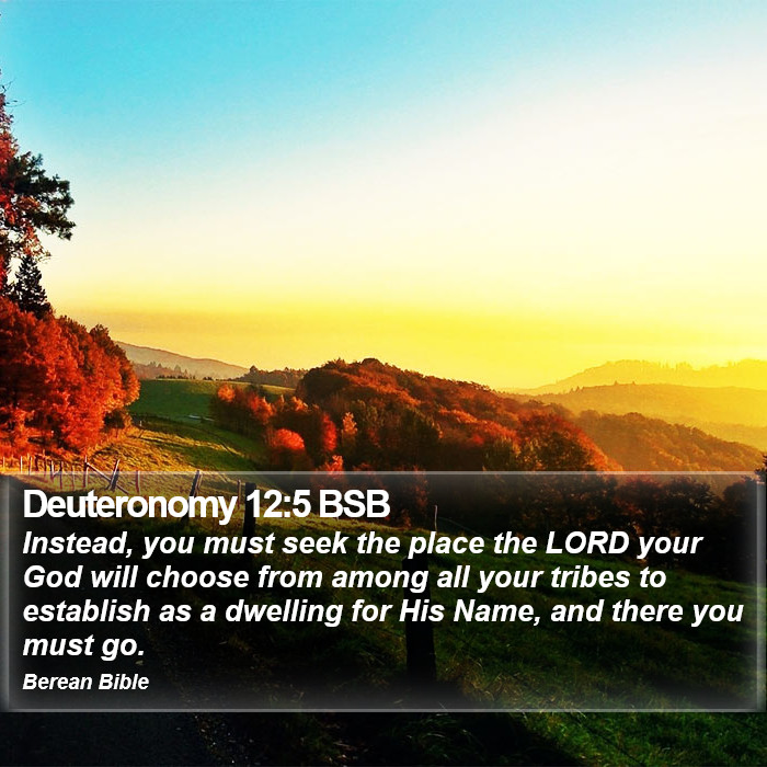 Deuteronomy 12:5 BSB Bible Study