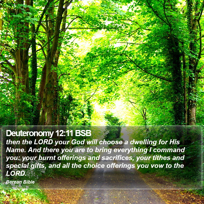 Deuteronomy 12:11 BSB Bible Study