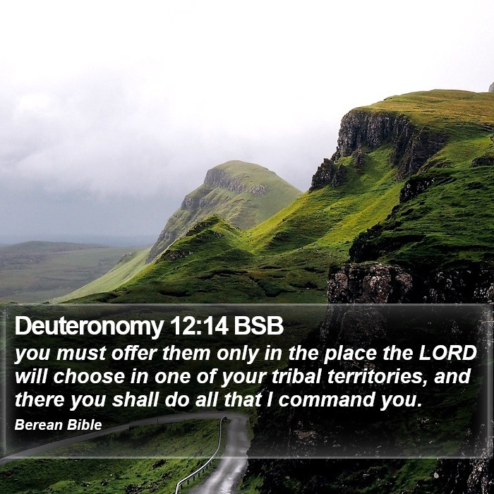 Deuteronomy 12:14 BSB Bible Study