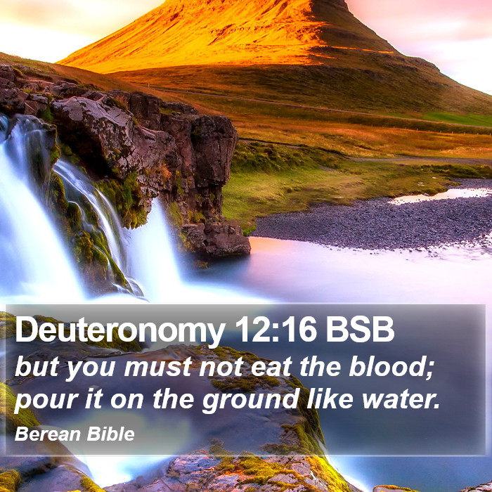 Deuteronomy 12:16 BSB Bible Study