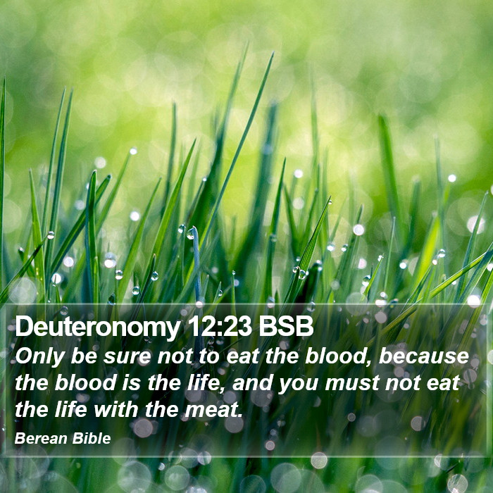 Deuteronomy 12:23 BSB Bible Study