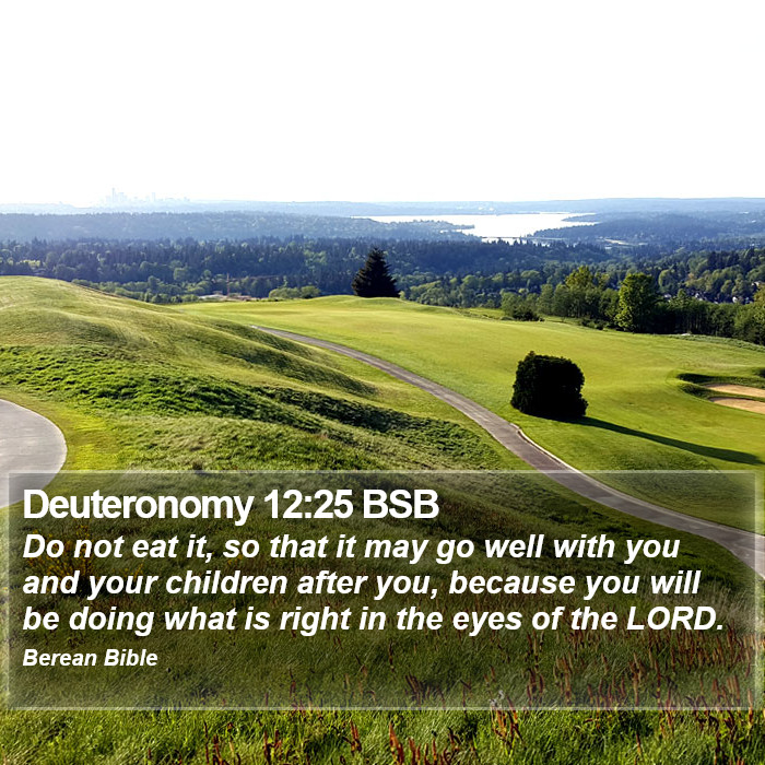 Deuteronomy 12:25 BSB Bible Study