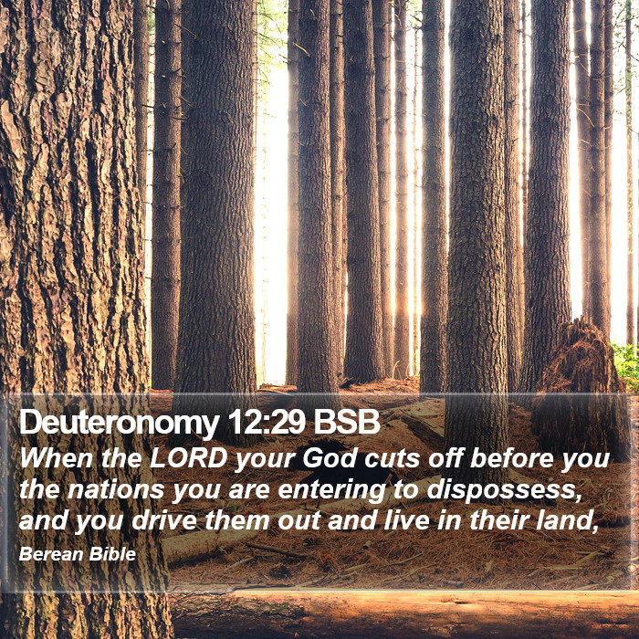 Deuteronomy 12:29 BSB Bible Study