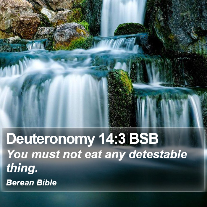 Deuteronomy 14:3 BSB Bible Study