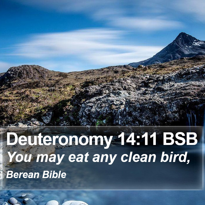 Deuteronomy 14:11 BSB Bible Study