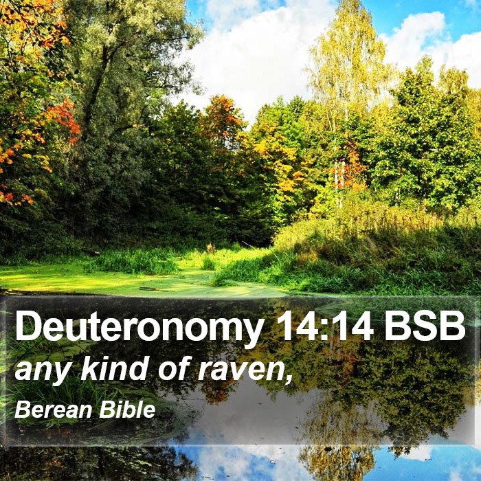 Deuteronomy 14:14 BSB Bible Study