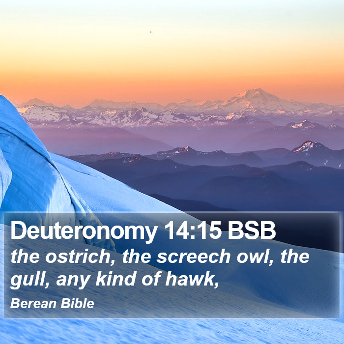 Deuteronomy 14:15 BSB Bible Study