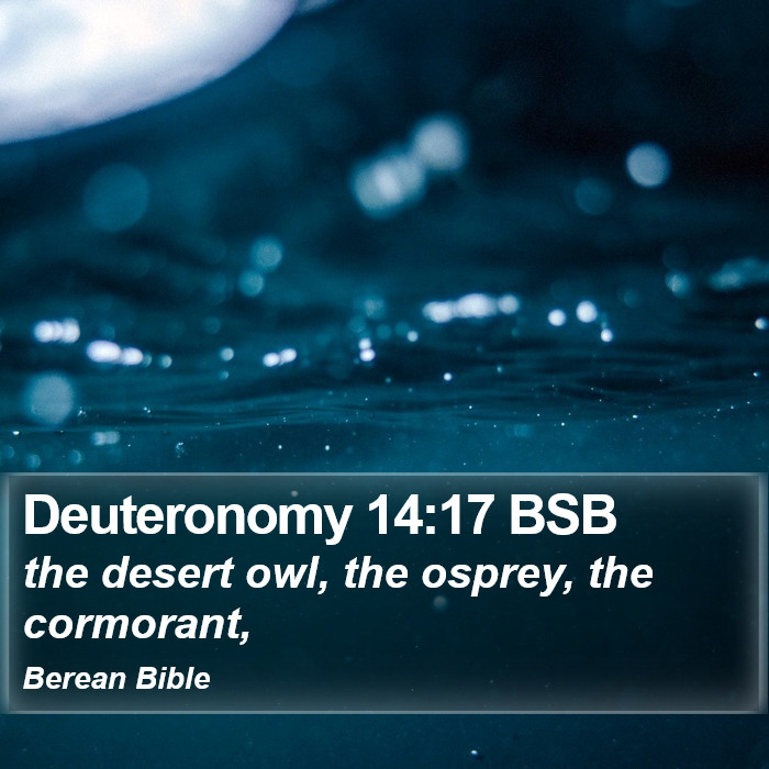 Deuteronomy 14:17 BSB Bible Study