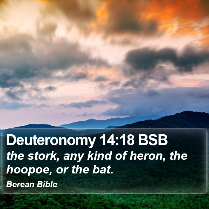 Deuteronomy 14:18 BSB Bible Study