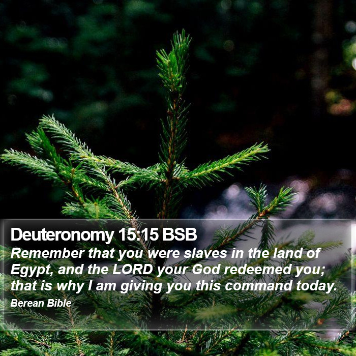 Deuteronomy 15:15 BSB Bible Study