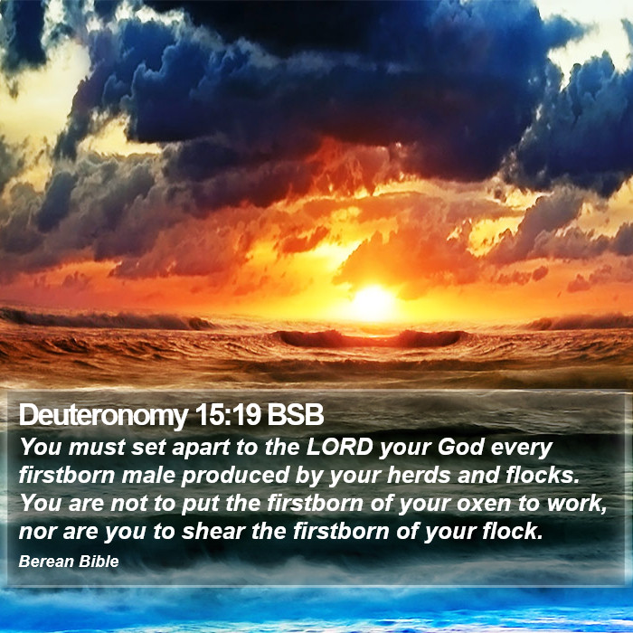 Deuteronomy 15:19 BSB Bible Study