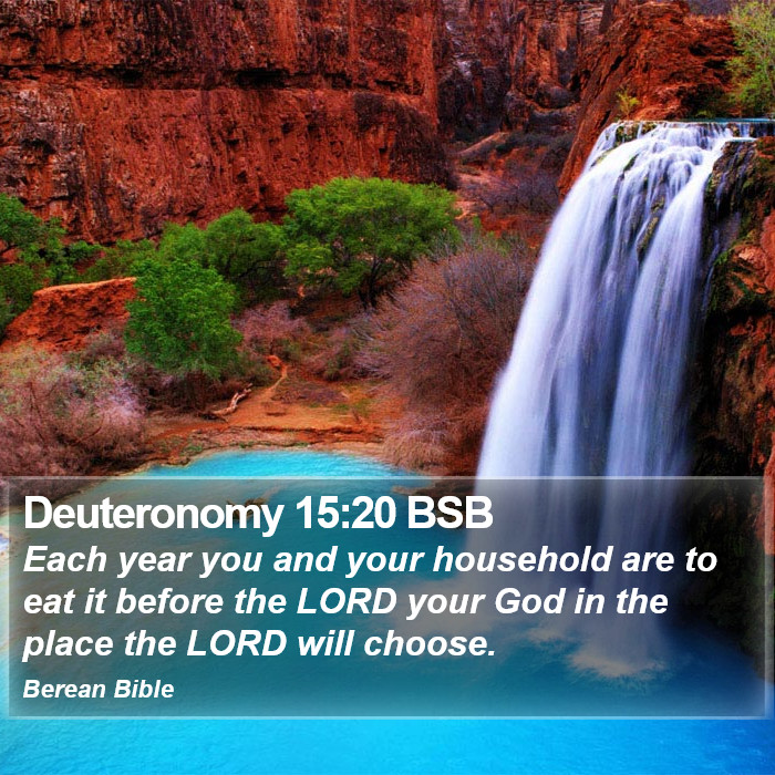 Deuteronomy 15:20 BSB Bible Study