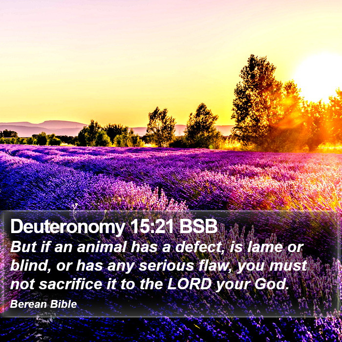 Deuteronomy 15:21 BSB Bible Study